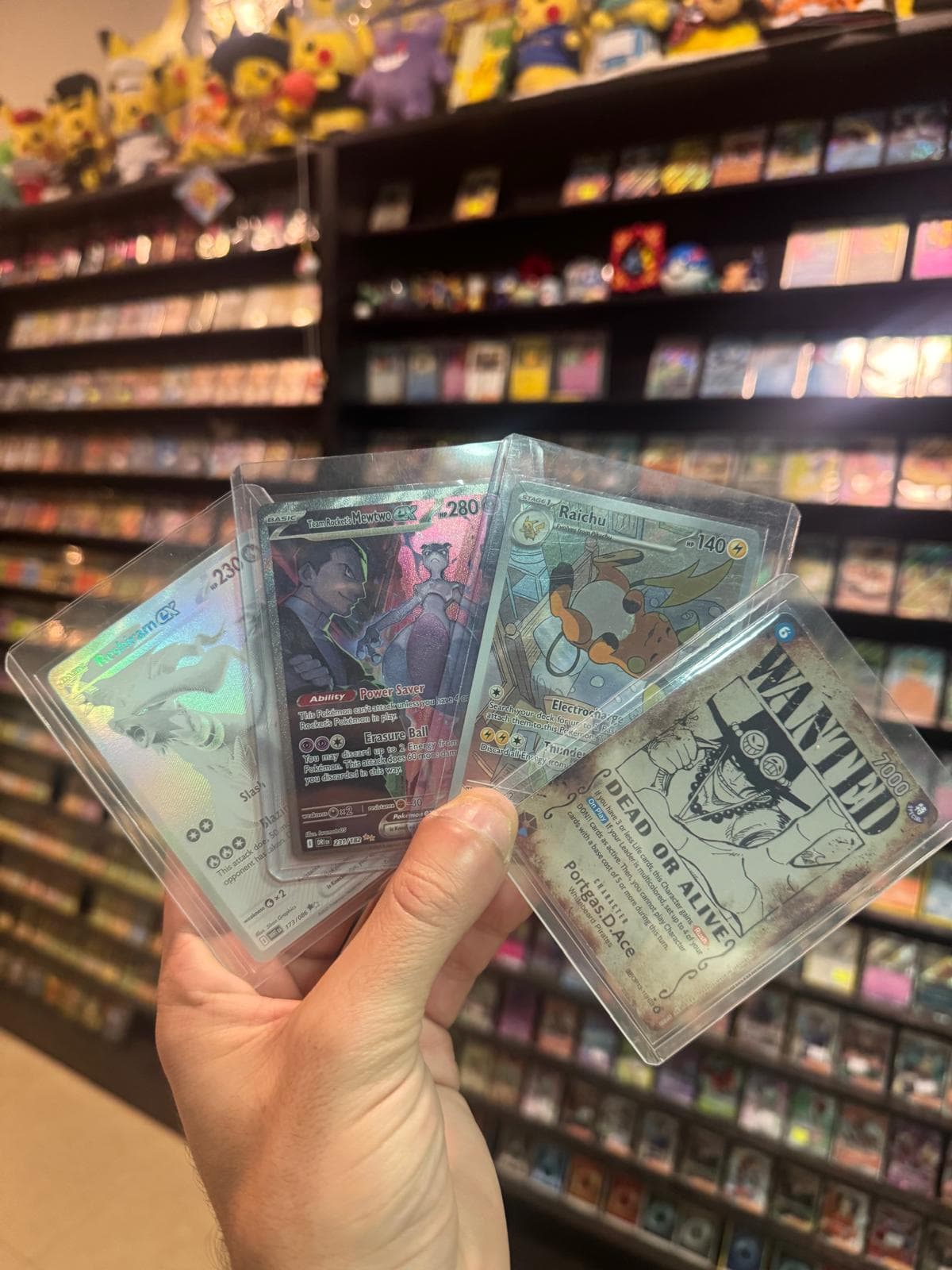 קלפי פוקימון ו-One Piece לדוגמא בחנות CARDHOUSETLV, הרצל 63, תל אביב.