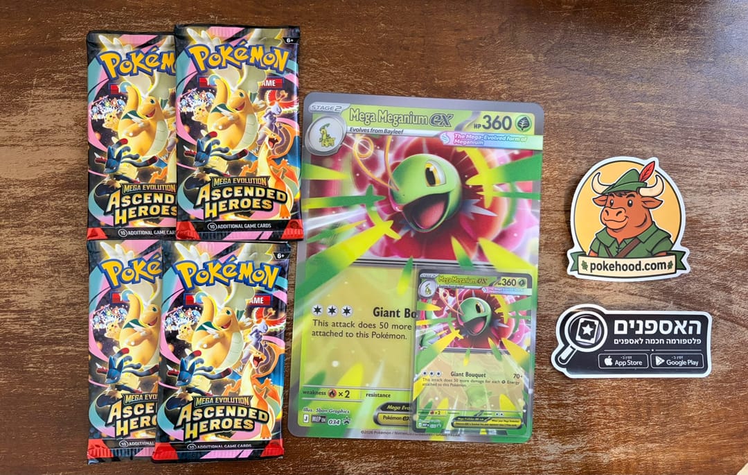 תכולת Mega Meganium ex Box: ארבע חבילות Ascended Heroes, קלף פרומו Mega Meganium ex וקלף מוגדל לנטיקולר