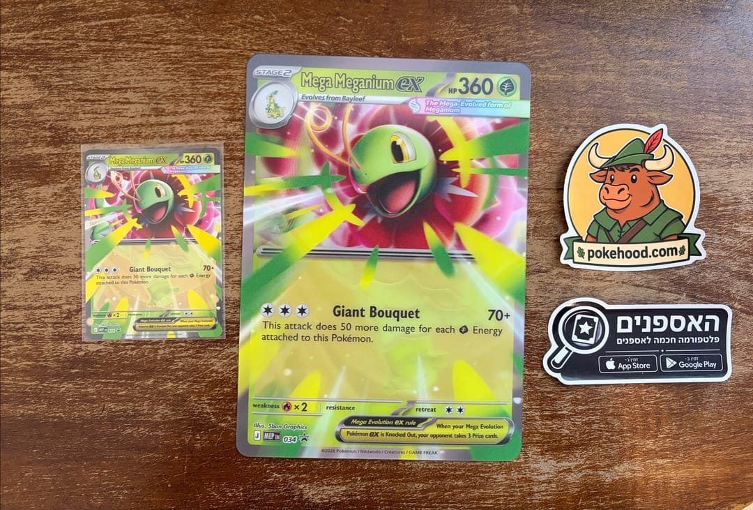 קלף פרומו Mega Meganium ex לצד גרסה מוגדלת עם אפקט לנטיקולר – Pokemon TCG Ascended Heroes